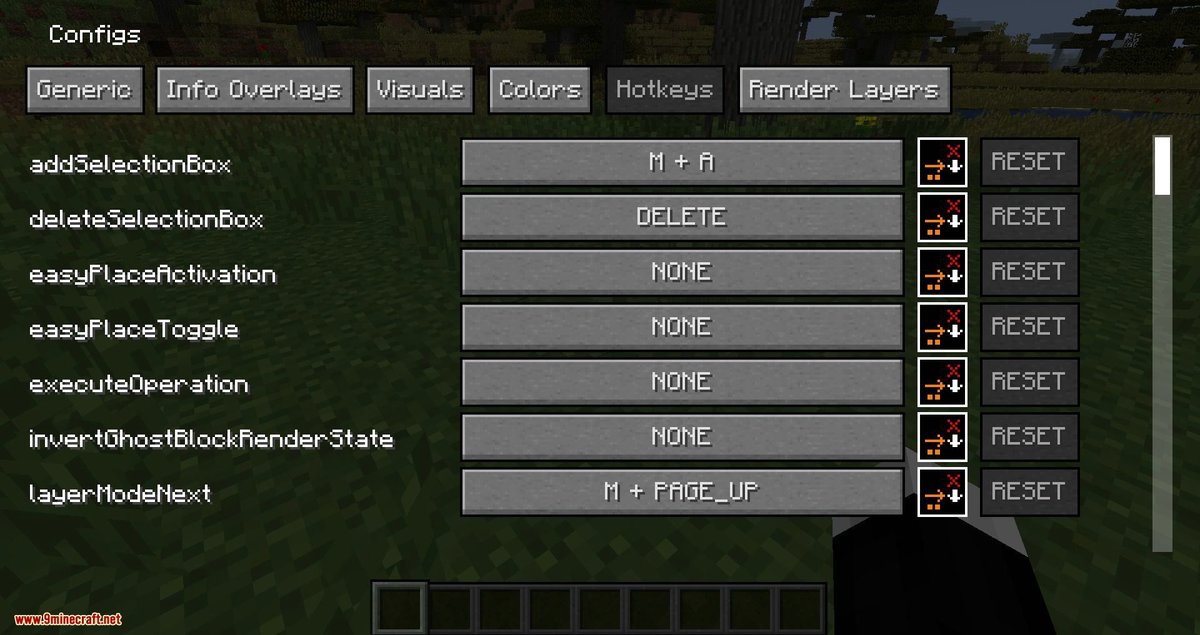 Installing Litematica for Minecraft 1.21.8 Takes Just a Few Steps